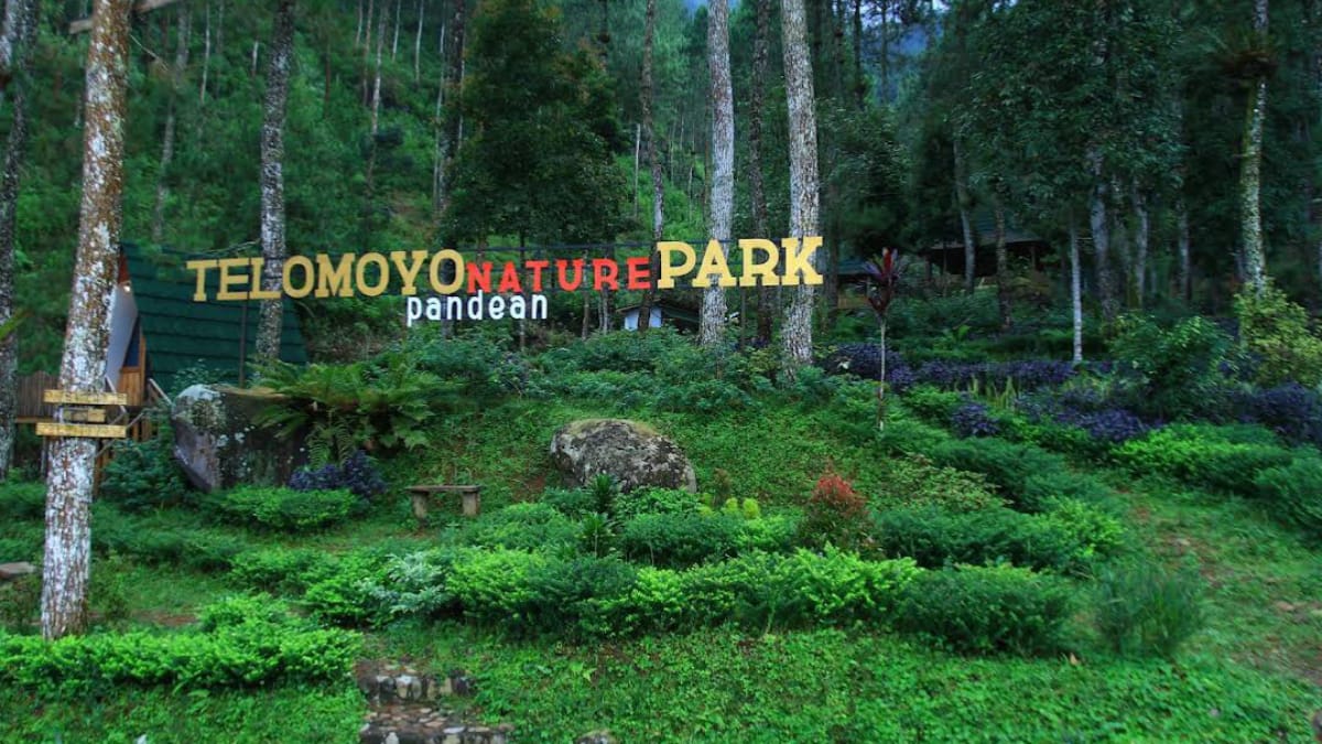 Telomoyo Nature Park: Pesona Alam dan Petualangan di Lereng Merapi